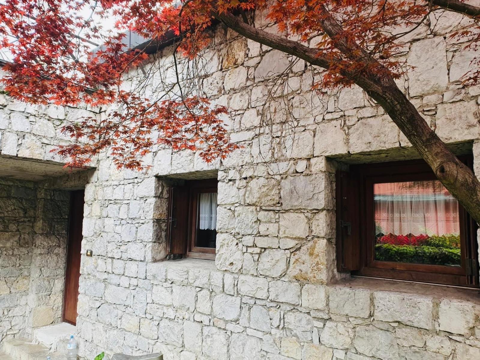 B&B San Rocco Capo di Ponte Eksteriør billede